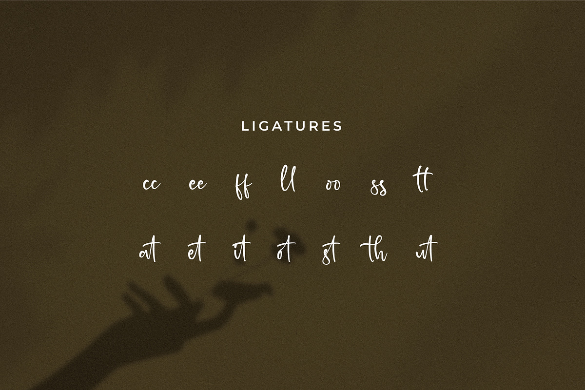 Machally Themoty, a Script Font by Integritype Studio (Photo 11 of 15)