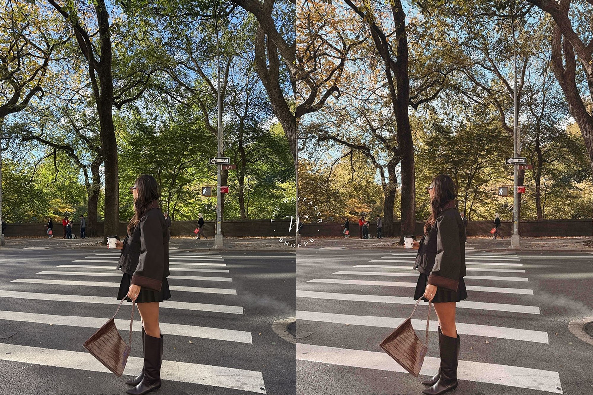 15 Aesthetic Fall Lightroom Presets, a Preset Add-On by TheWayfarerShoppe (Photo 2 of 8)