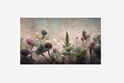 Lyba Collection · Botanical Wall, a Texture Illustration by milatovar (Thumbnail 8 of 13)