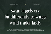 Twoswash - Beauty Elegant Serif, a Serif Font by Typia Nesia (Thumbnail 4 of 11)