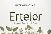 Ertelor Modern Sans Serif Font, a Sans Serif Font by Gumrega Studio (Thumbnail 1 of 6)