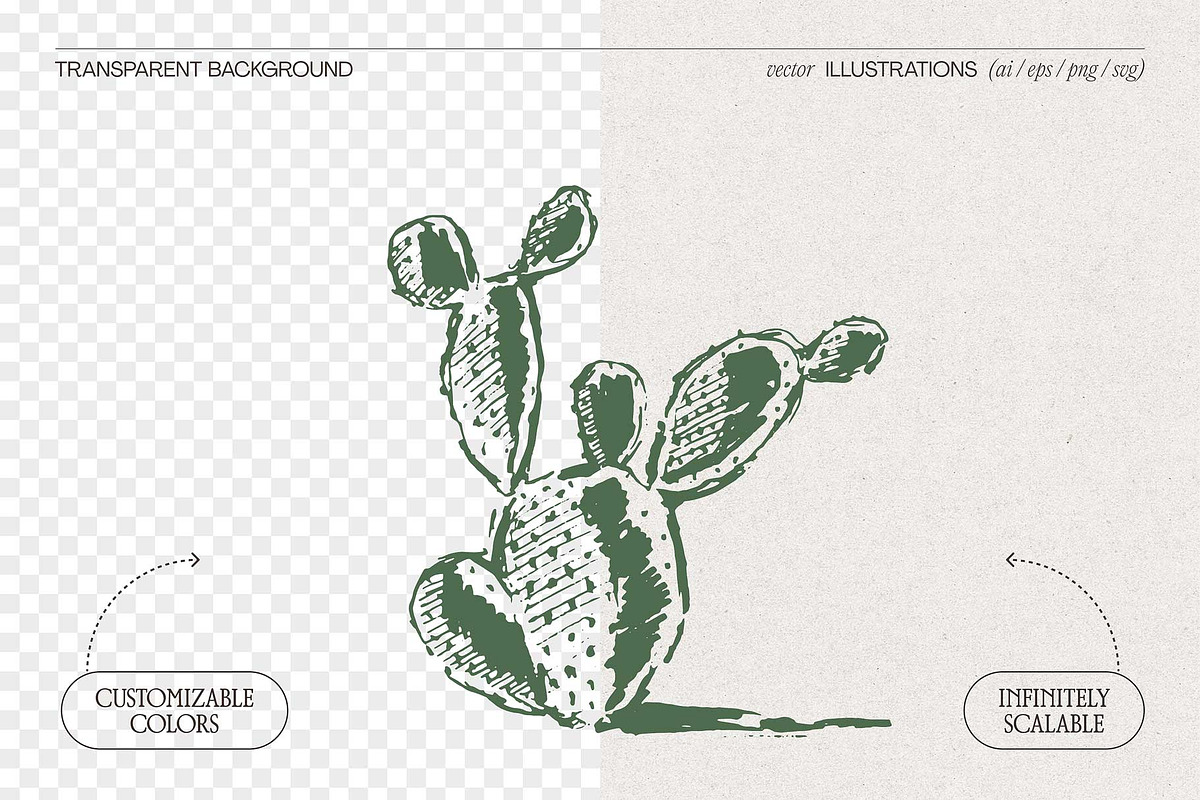 Sketch Cacti Vector Bundle, a Seasonal Illustration by TheMountBirdStudio (Photo 2 of 14)