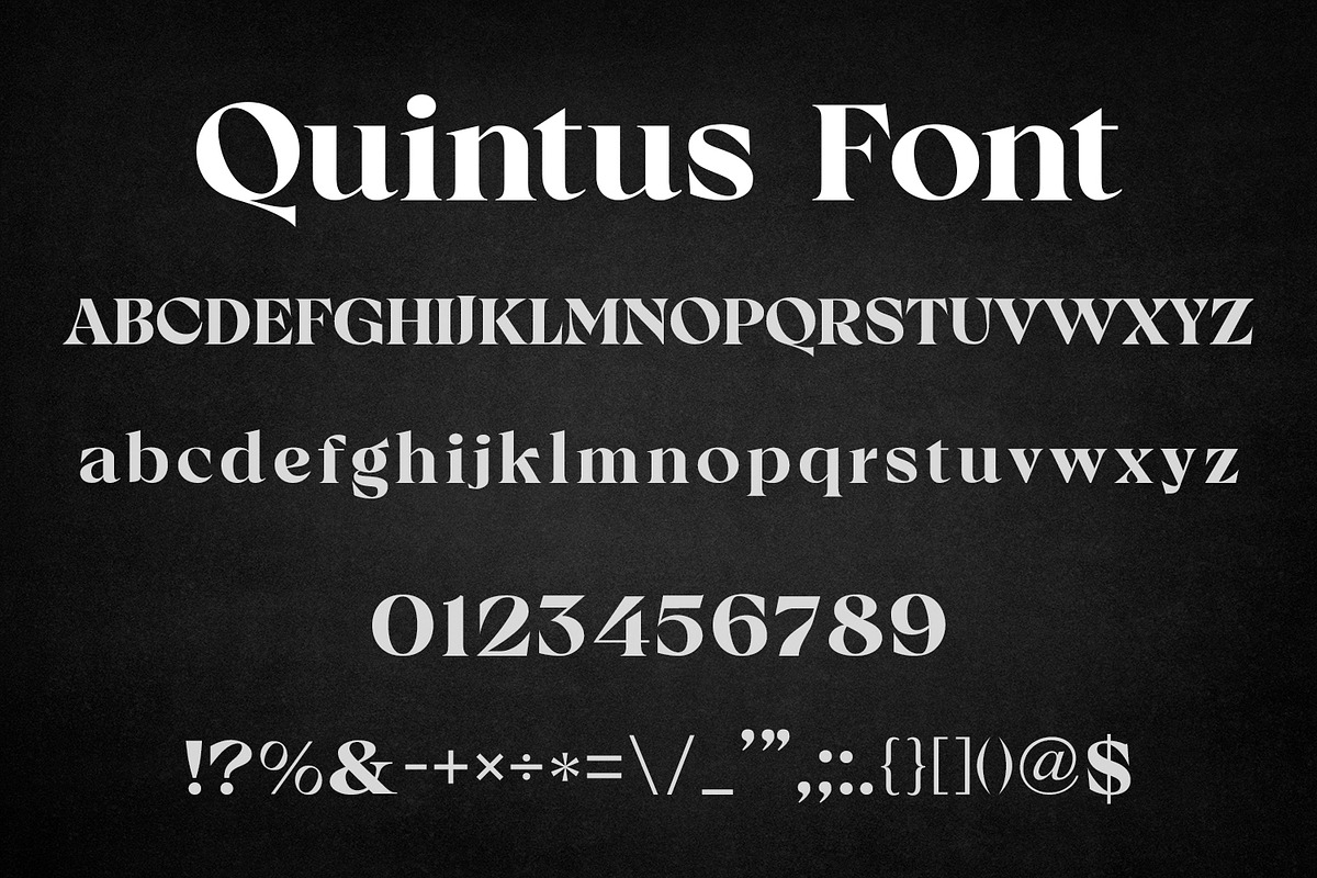 Quintus High Contrast Serif Font, a Serif Font by OWPictures (Photo 10 of 10)