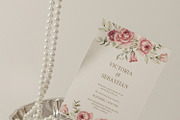 Watercolor Blush Roses Floral Set, a Decorative Illustration by Carol Lozove (Thumbnail 7 of 50)