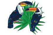 TOUCAN, an Animal Illustration by Tanya Akhmett (Thumbnail 9 of 11)