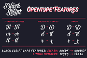 Black Script -12 fonts + extras pack, a Script Font by Fenotype (Thumbnail 3 of 11)