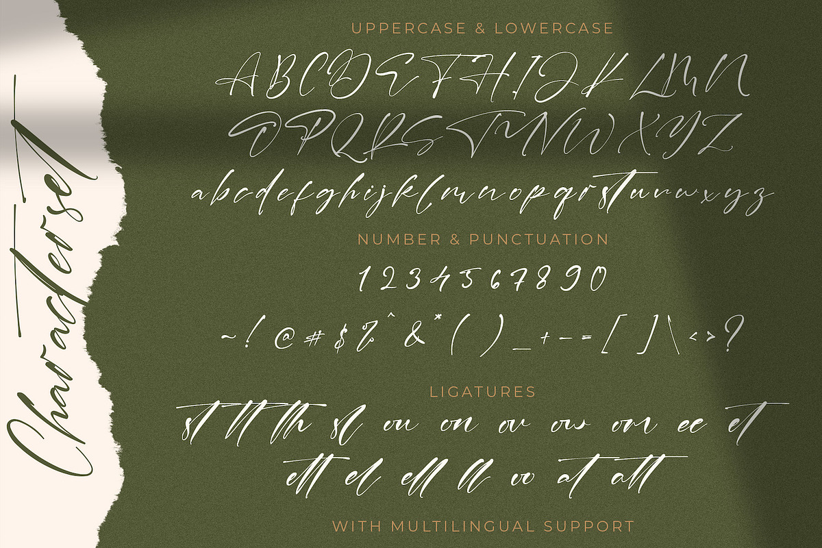 Laneky Haizen - Signature Script Fon, a Script Font by StringLabs (Photo 8 of 9)