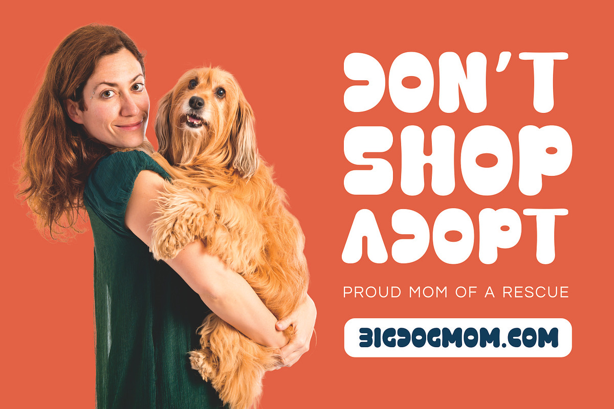 Chicco | Playful Rounded Font, a Handwritten Font by Imoodev (Photo 4 of 5)