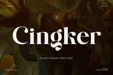 Cingker Modern Display Serif Font