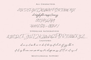 Ramstay Script, a Script Font by Dm Studio (Thumbnail 7 of 7)