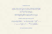 Crystal Magnolia Script Font, a Script Font by Seagulls Creative (Thumbnail 10 of 11)