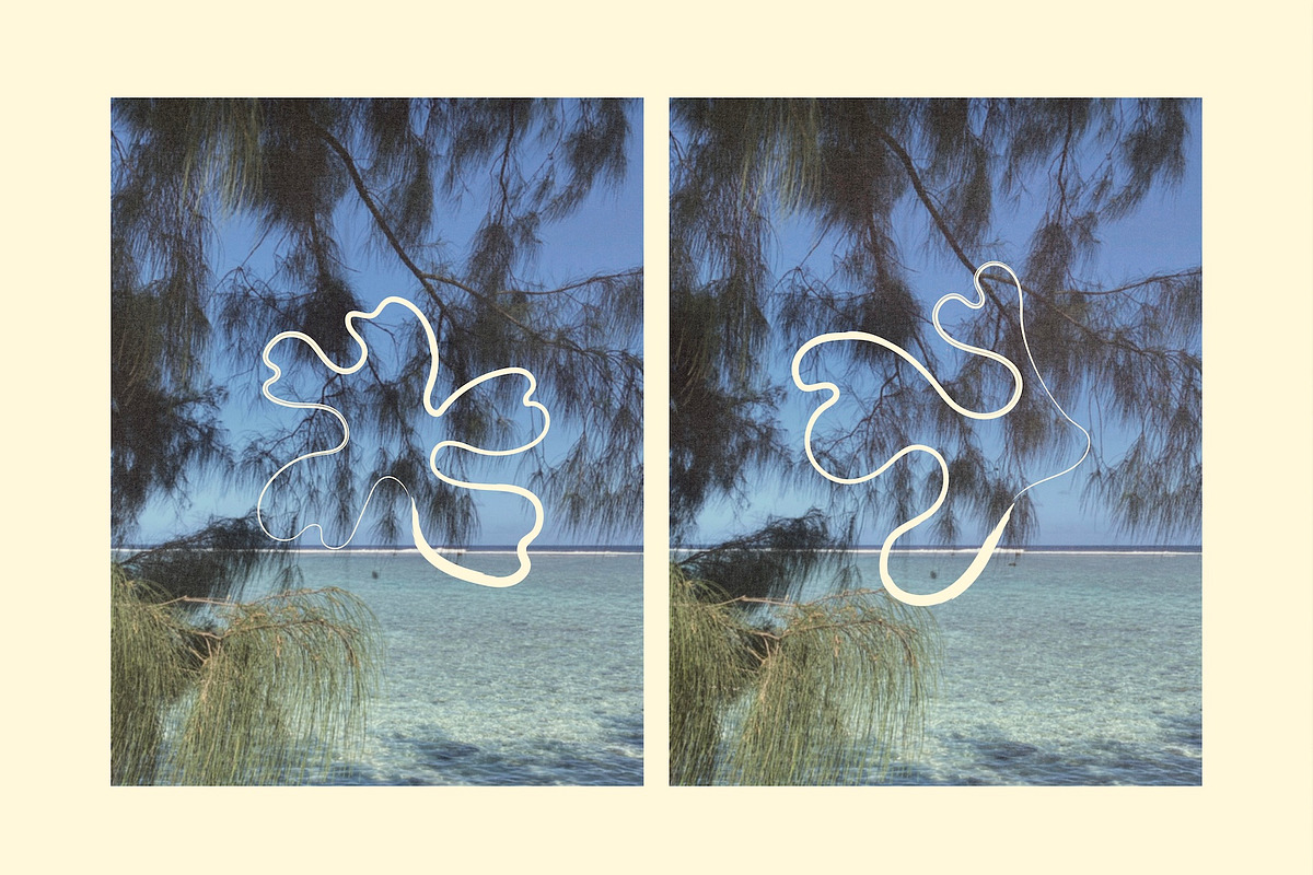 Coral – Hand Drawn Coral Forms, a Decorative Illustration by Madeline ODonoghue Design (Photo 7 of 15)