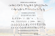 Delightful | Script Font, a Handwritten Font by Scratchones (Thumbnail 7 of 8)