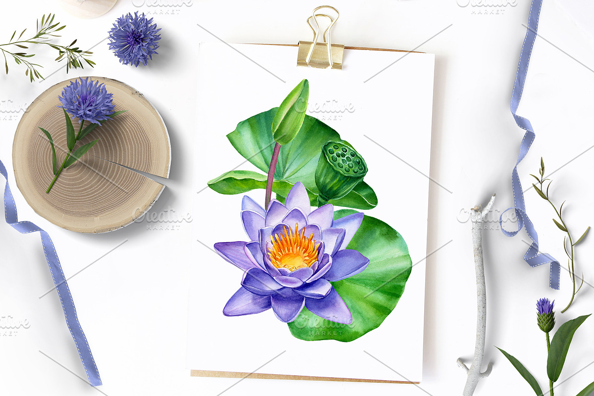 Lotus flowers and koi fish, an Animal Illustration by Hanna Hryharenka (Photo 11 of 13)