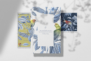 Perico, Exquisite Print Design!