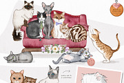 Cat Illustrations Patterns & Borders, a Graphic by Pretty Little Lines (Thumbnail 4 of 17)