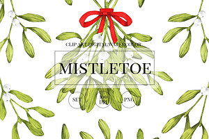 Mistletoe clipart watercolor png set