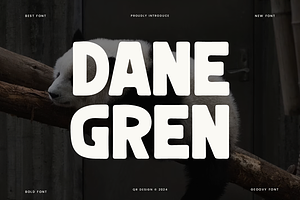 Danegren - Round & Bold Font