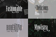 Newston - Stylish Serif Font, a Serif Font by Arterfak Project (Thumbnail 8 of 11)