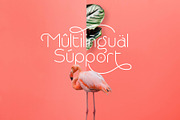 Rollgates Modern Sans, a Sans Serif Font by Cotbada_studio (Thumbnail 9 of 10)