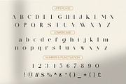 Baginda - Modern Ligature Typeface, a Serif Font by BOOSH Studio (Thumbnail 10 of 14)