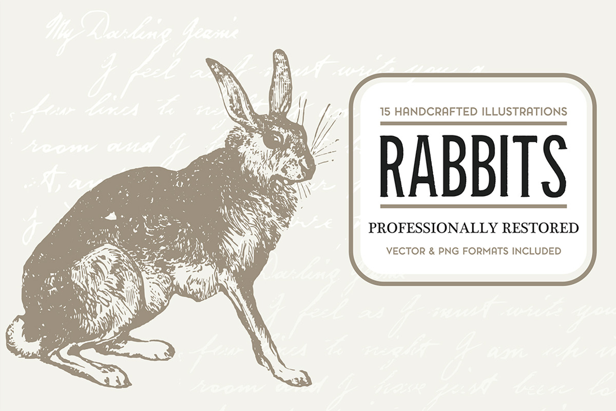 15 Rabbit Illustrations, an Animal Illustration by The Rusty Press (Photo 1 of 3)