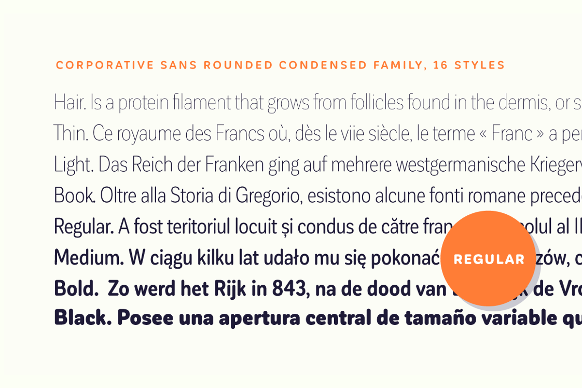 Corporative Sans Rnd Cond - 50% OFF preview 5