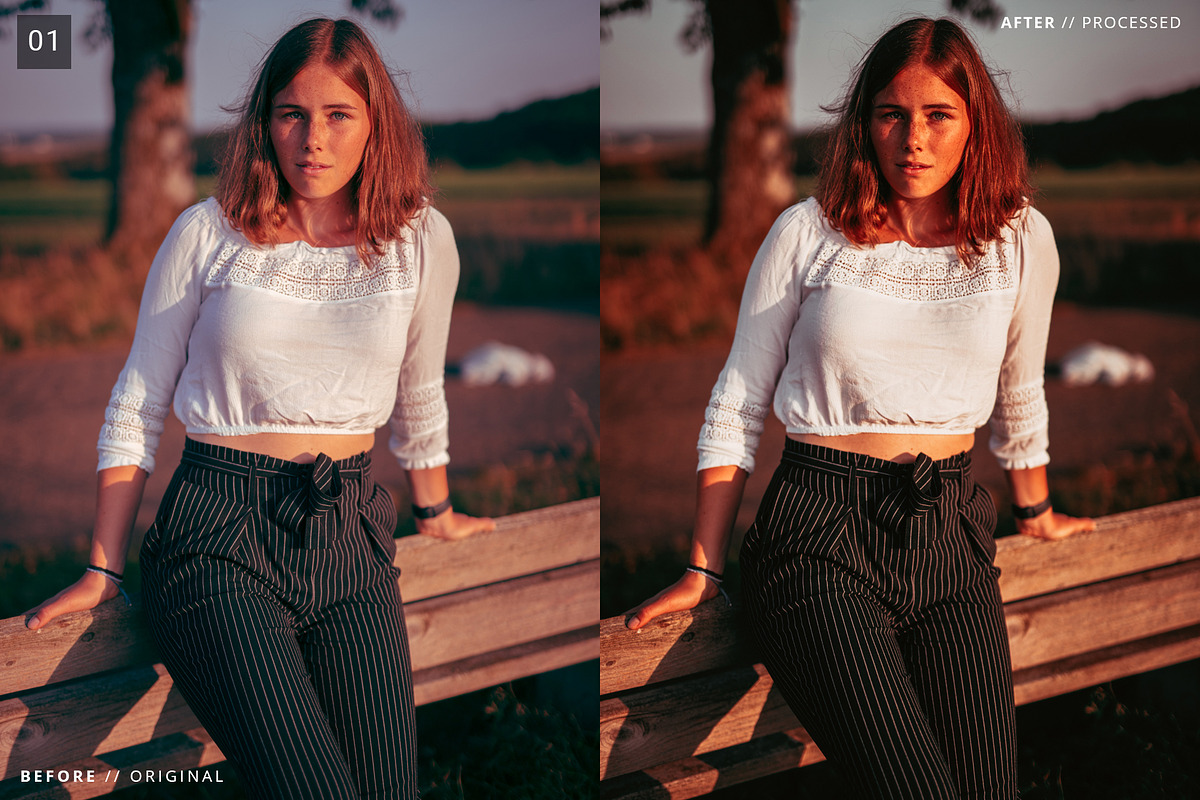 6 Pro Moody Style Lightroom Presets, an Action Add-On by Edito (Photo 2 of 7)