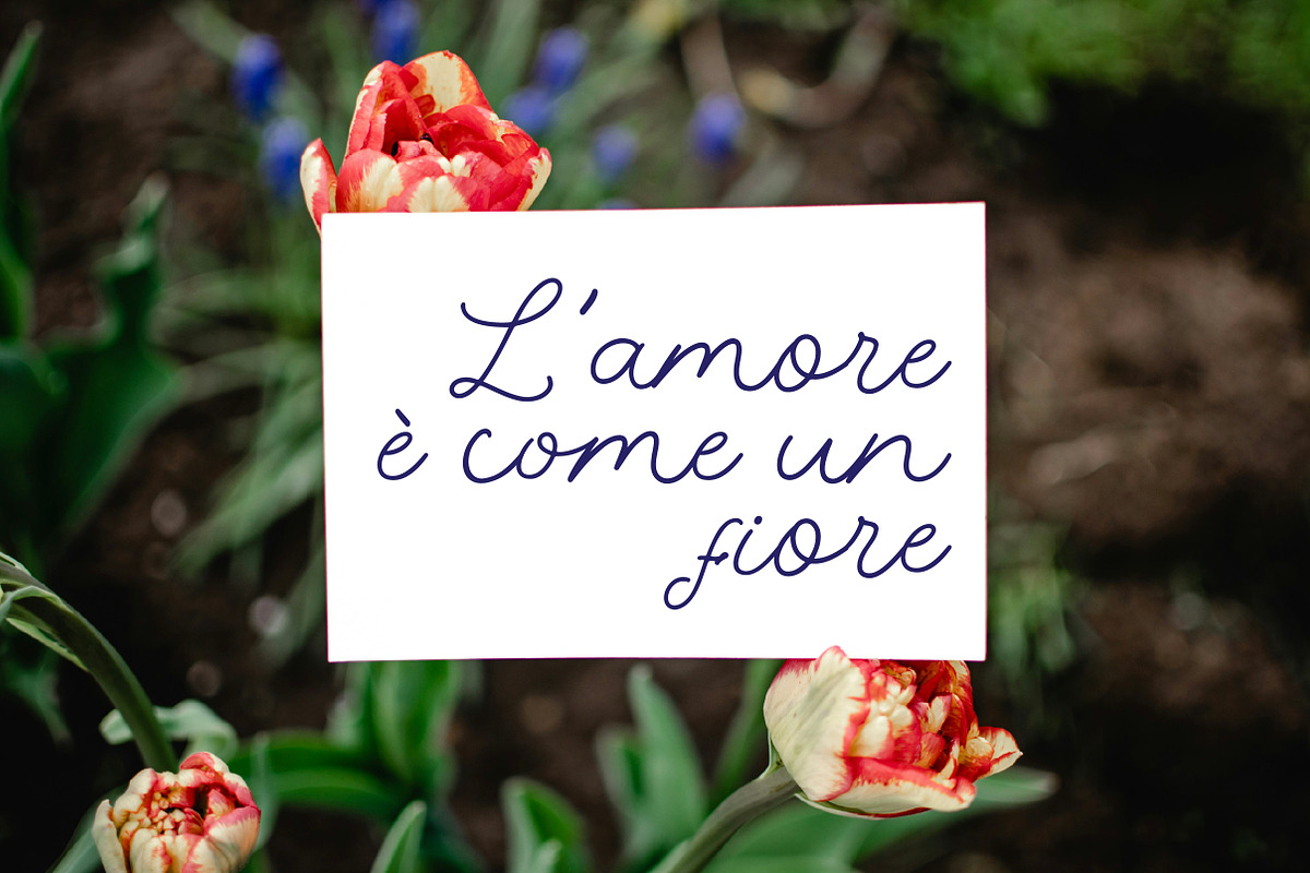 Floweryco, a Font by fopifopi (Photo 5 of 6)