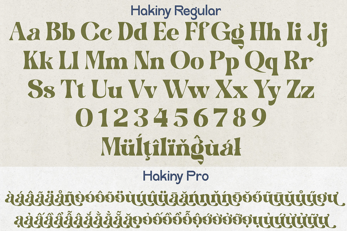 Hakiny – Serif Font, a Serif Font by NDNL Studio (Photo 8 of 9)