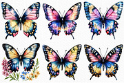 Watercolor butterflies clipart, an Illustration by Craft Nest (Thumbnail 4 of 11)