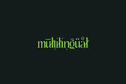 Replica - Elegant & Modern Serif, a Serif Font by subkulturetype (Thumbnail 11 of 11)