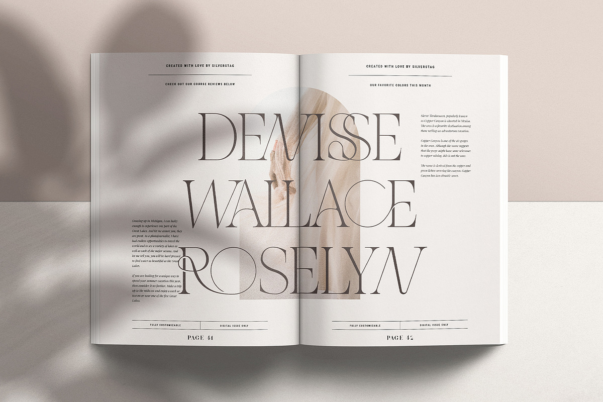 THE FRENCH KISS ROYAL TYPEFACE, a Serif Font by SilverStag Type Foundry (Photo 17 of 23)