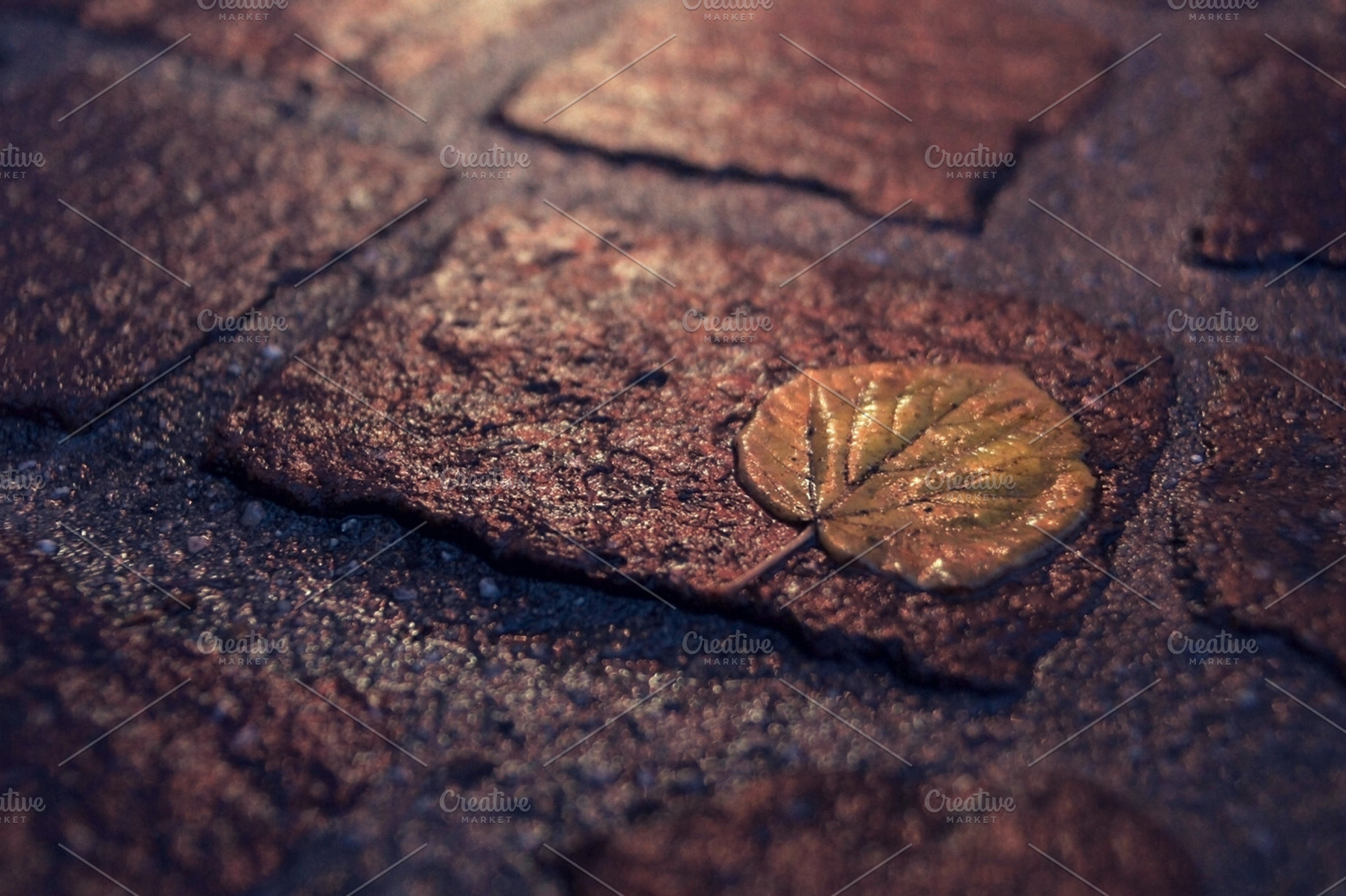Fall Featuring Autumn Weather And Leaf