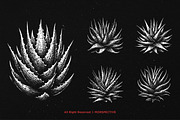 10 Bundle Dark Art Aloe Vera Cactus, an Illustration by Morspective (Thumbnail 3 of 7)