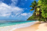 Sunny tropical beach containing beach, tropical, and palm, a Nature Photo by Lucky Photographer (Thumbnail 2 of 3)