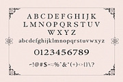 Fistalle Modern Serif With Ligature, a Serif Font by Font Kingdom (Thumbnail 4 of 5)