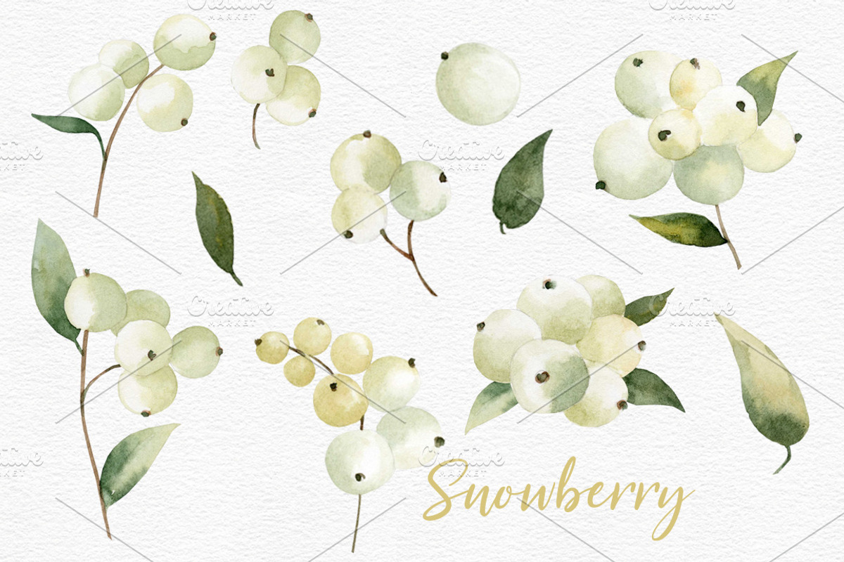 Watercolor Snowberry set, a Graphic by Colibri Watercolor (Photo 2 of 5)