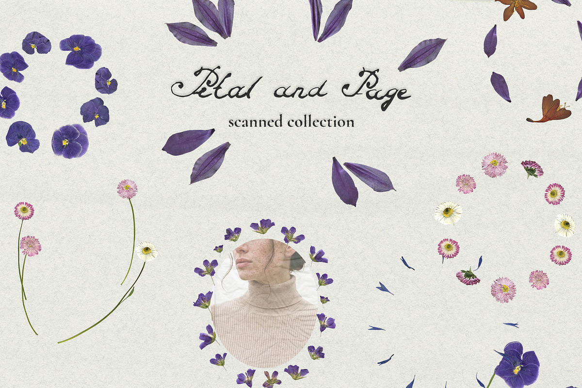 Petal & Page - Paper and Fowers, an Object Graphic by Watercolor_Ma (Photo 7 of 7)