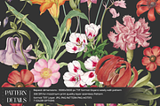 ZARELYN Floral Seamless pattern, a Pattern Graphic by Fabrivo (Thumbnail 10 of 10)