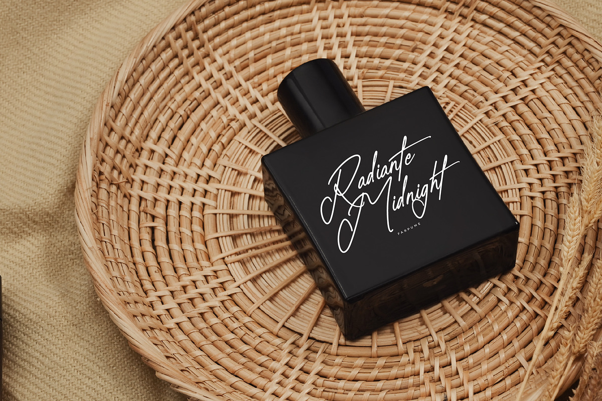 Salvatores, a Script Font by Integritype Studio (Photo 9 of 15)