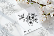 Sakura Flowers Line Art SVG, an Object Graphic by Dervik Art Store (Thumbnail 2 of 9)