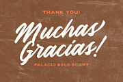 Palacio - Bold Script, a Script Font by Littlehand (Thumbnail 9 of 9)