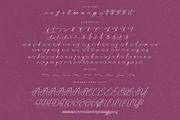 Anastasia Boutiques Beauty Script, a Script Font by Letterena Studios Script (Thumbnail 14 of 15)