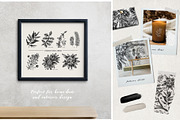Winter Plants Set. Christmas Designs, a Seasonal Illustration by Yevheniia (Thumbnail 13 of 13)