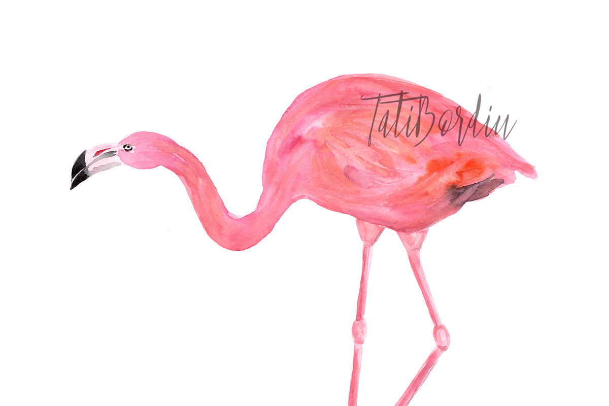 Watercolor Flamingoes Clip Art+Print, an Object Graphic by Tati Bordiu (Photo 4 of 4)