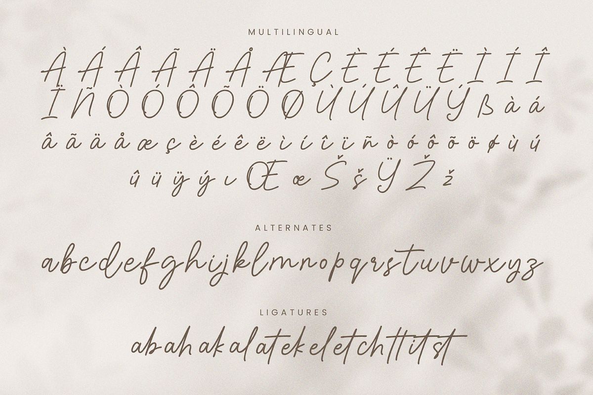 Riday Parcia Signature, a Script Font by Salamahtype (Photo 7 of 7)