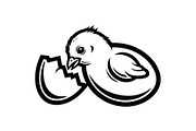 Cute Easter Chick Hatch Vector Bundl, an Illustration by jahid234 (Thumbnail 44 of 51)