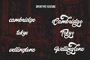 Montages - Retro Bold Script Font, a Script Font by StringLabs (Thumbnail 7 of 8)