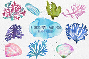 Underwater Life ClipArt Watercolor, an Animal Illustration by MaraquelaStudio (Thumbnail 3 of 6)